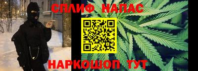 индика Владимир