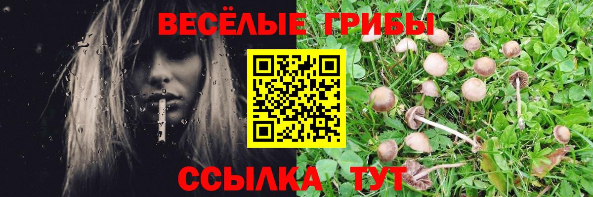 Галлюциногенные грибы мухоморы Калуга