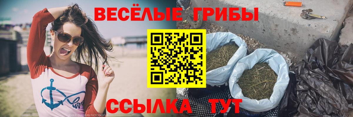 Калуга  Галлюциногенные грибы мухоморы  Вход с VPN 